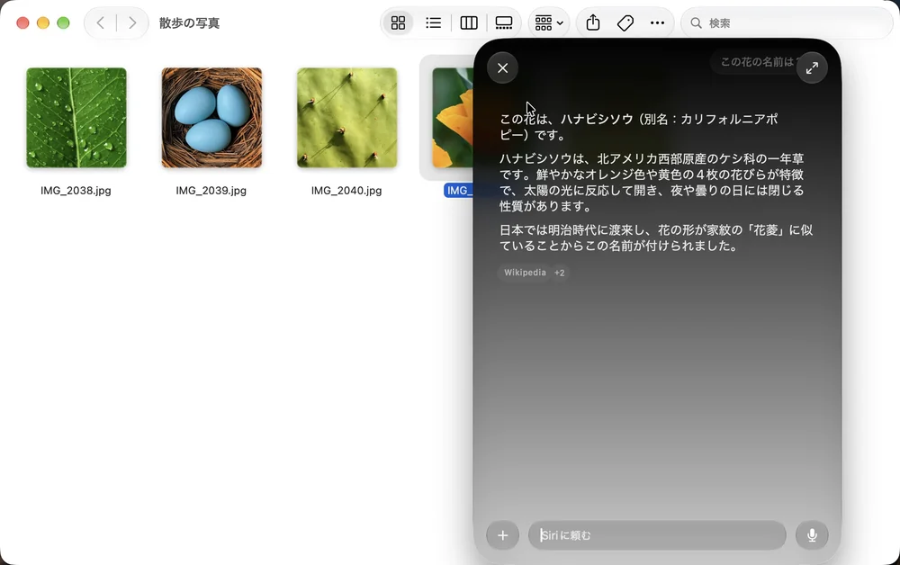 Finderの「散歩の写真」フォルダの上に、Siriの答えの画面。「この花は、ハナビシソウ（別名：カリフォルニアポピー）です。」と、花の特徴と名前の由来の説明。下に「Wikipedia」の印。