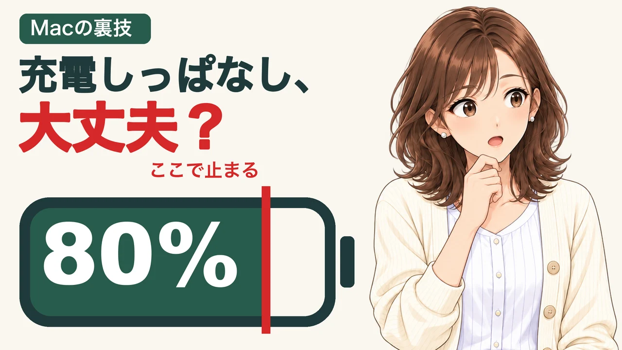 動画の表紙。電池の絵の中に大きく「80%」とあり、赤い線のところで充電が止まることを示している